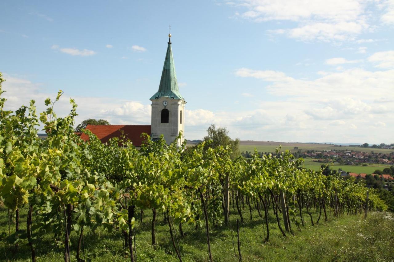 Ubytovani Ve Vinarstvi Medek | Medek House & Winery Uherske Hradiste Luaran gambar