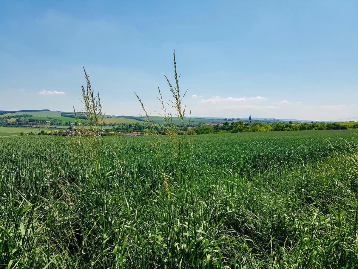 Ubytovani Ve Vinarstvi Medek | Medek House & Winery Uherske Hradiste Luaran gambar