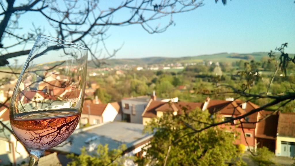 Ubytovani Ve Vinarstvi Medek | Medek House & Winery Uherske Hradiste Luaran gambar