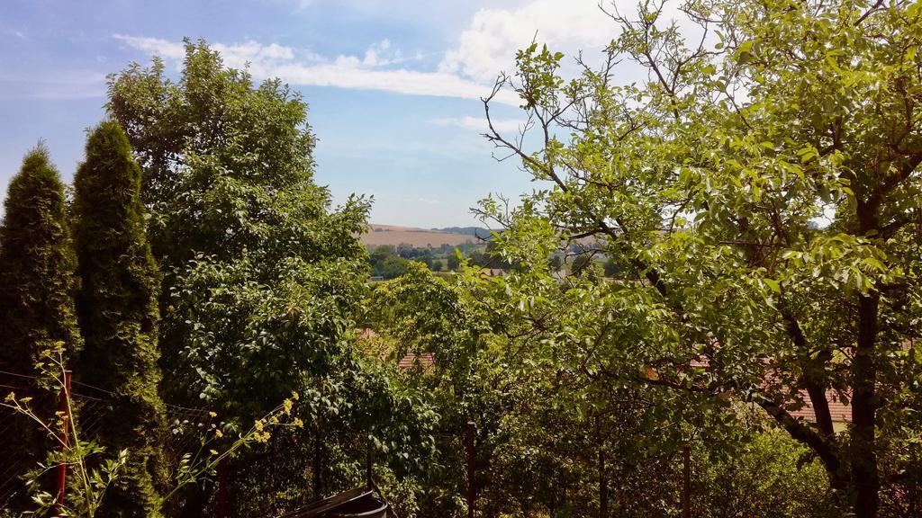 Ubytovani Ve Vinarstvi Medek | Medek House & Winery Uherske Hradiste Luaran gambar