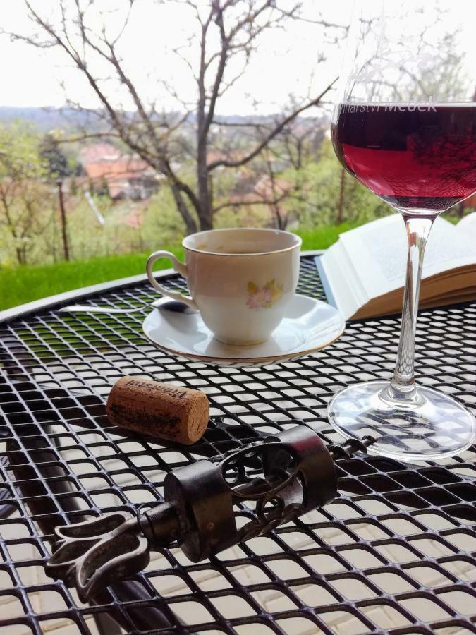 Ubytovani Ve Vinarstvi Medek | Medek House & Winery Uherske Hradiste Luaran gambar